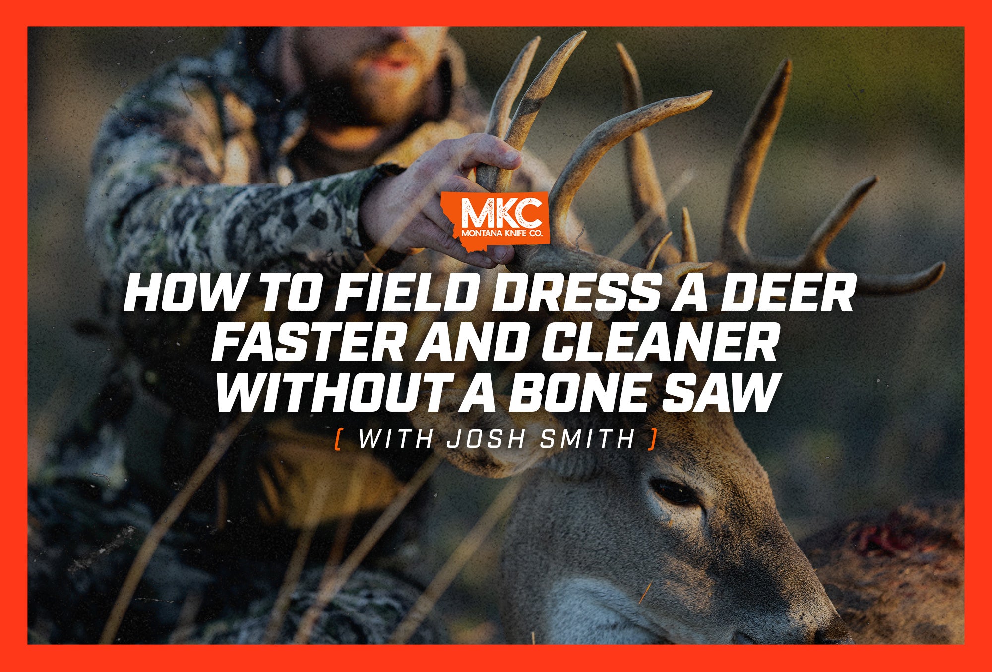 In a field, a man’s hands prop up the rack and head of the deer he brought down on a hunt.
