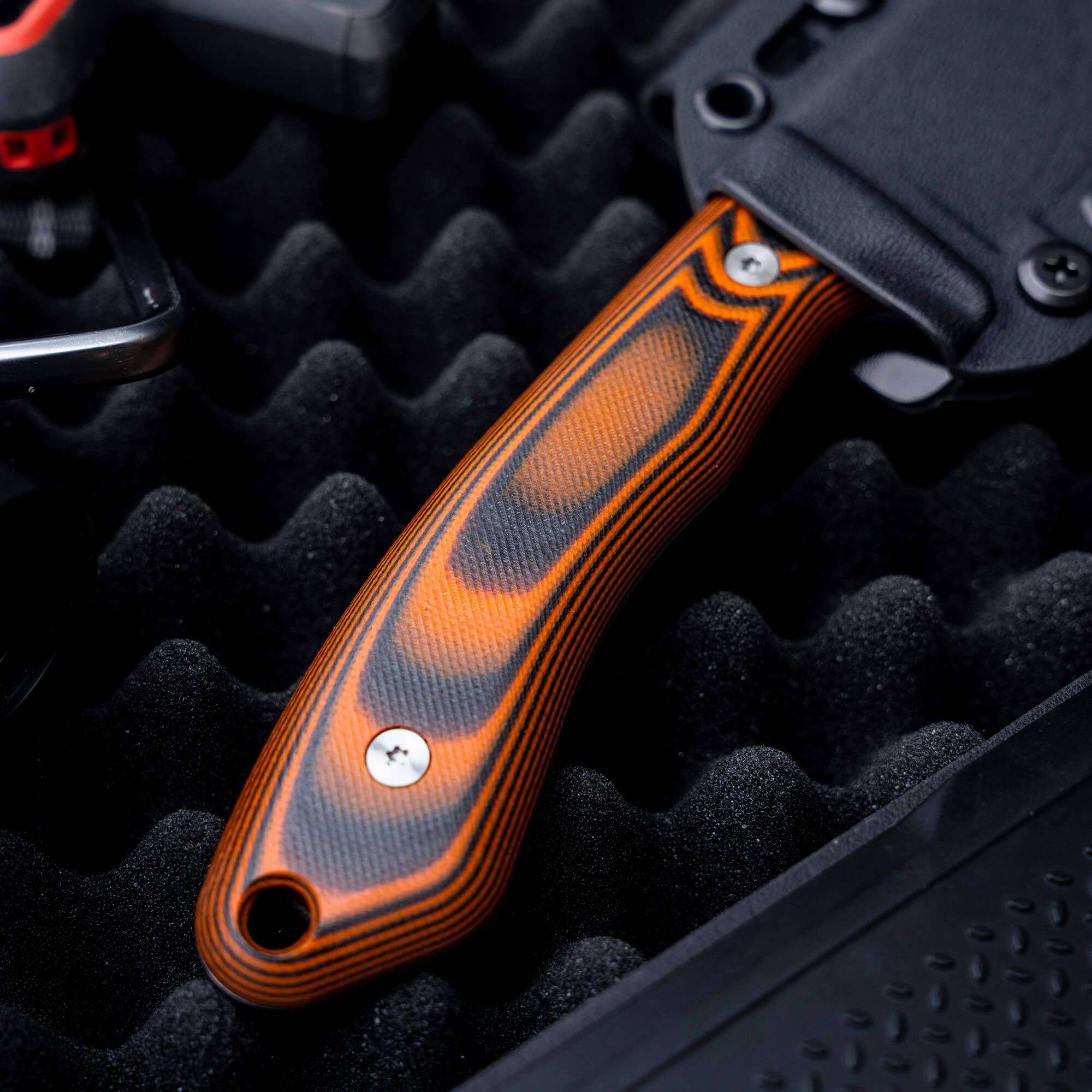 MULE DEER - ORANGE & BLACK