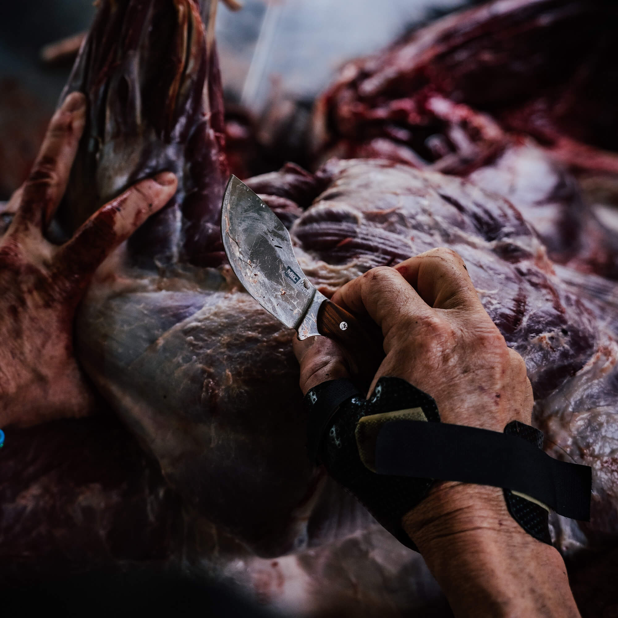 A close-up of hands using the Keep Hammering Traditions Packout Skinner knife on a game animal, showcasing its sharp blade and practical design.