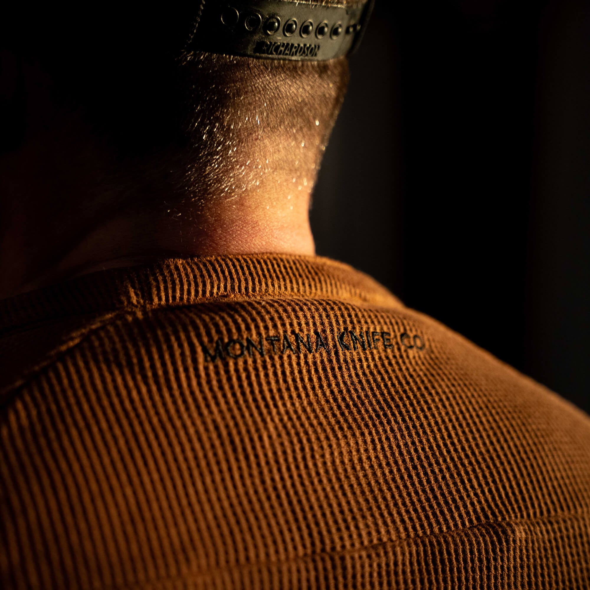 MACLAY HENLEY - COYOTE