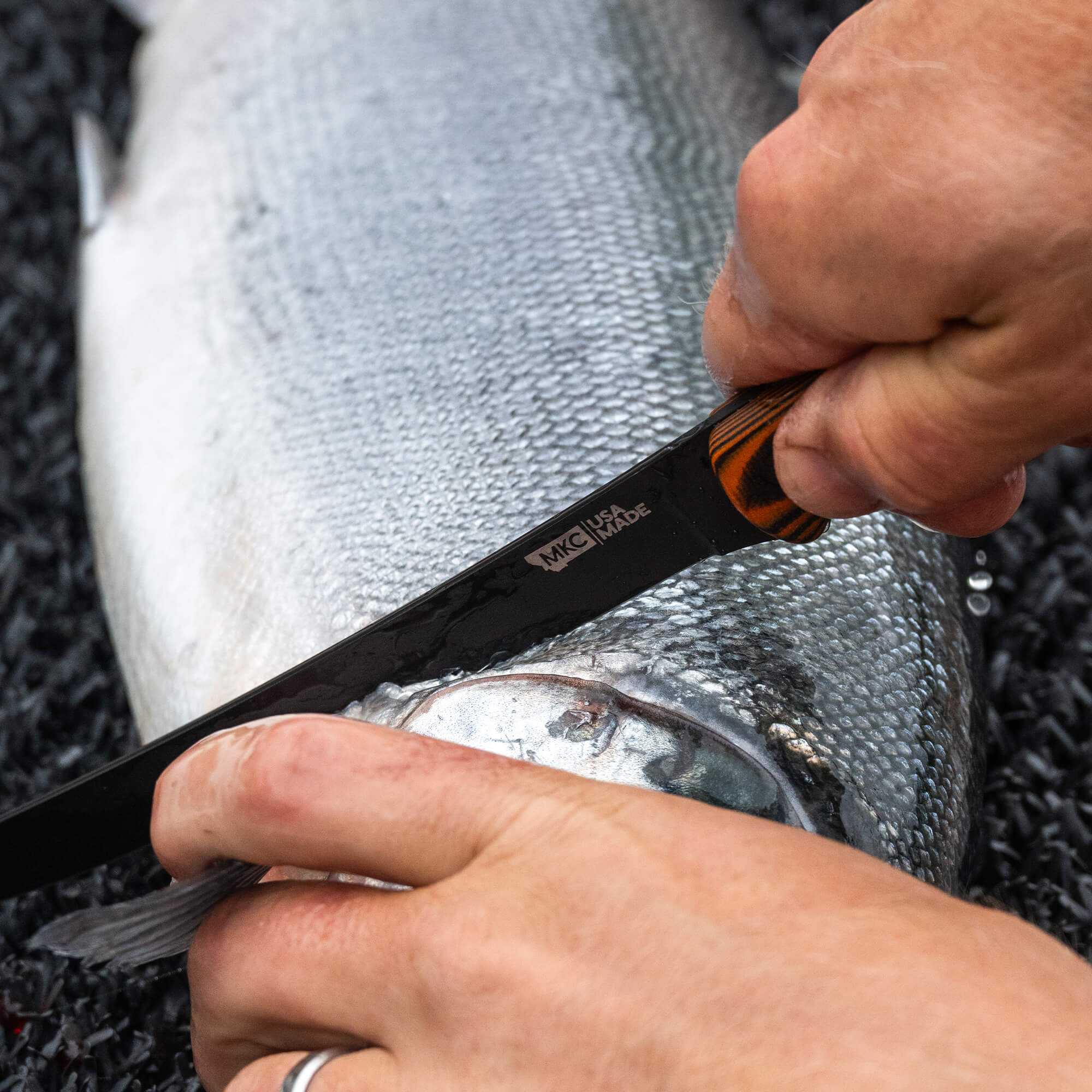 FLATHEAD FILLET - ORANGE & BLACK