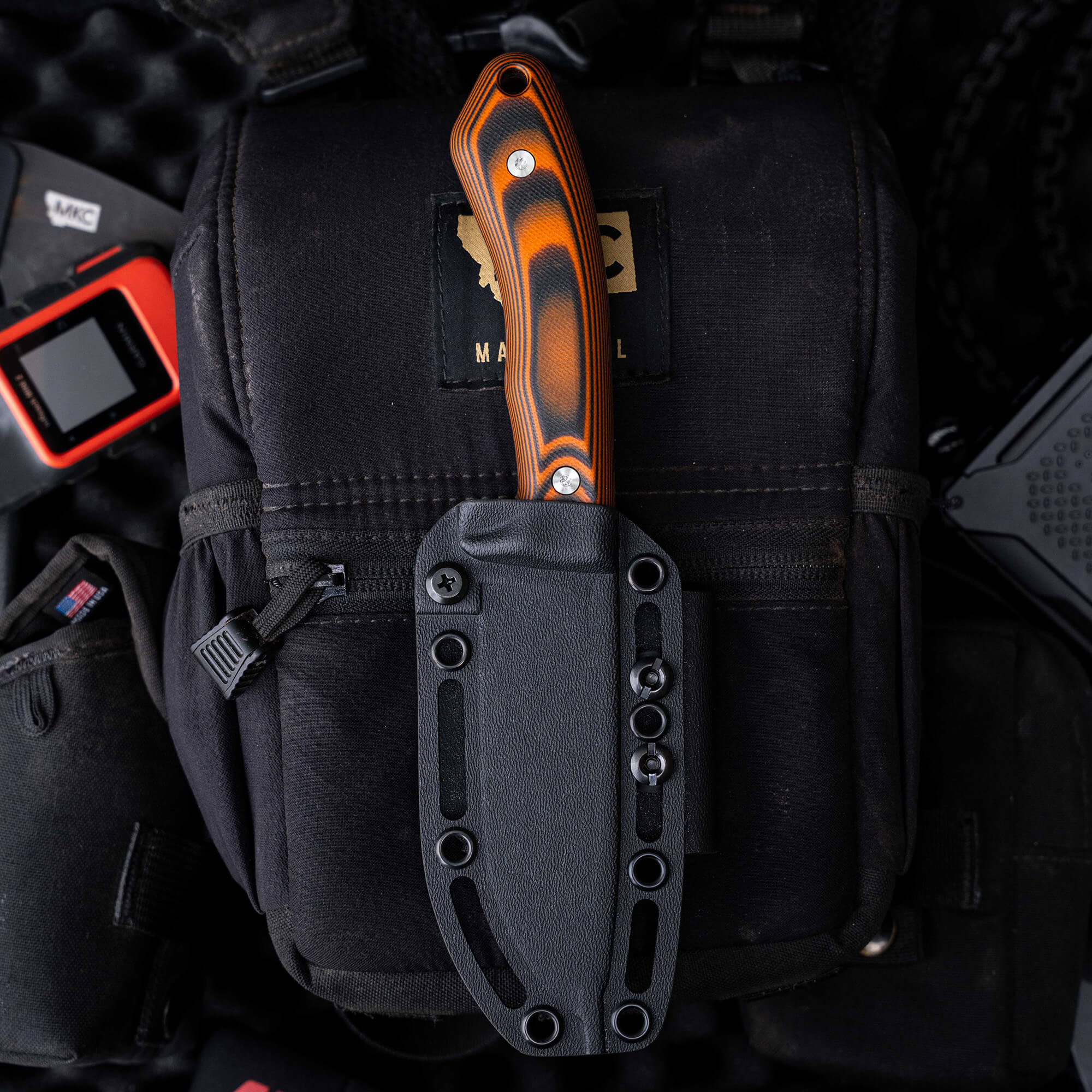 MULE DEER - ORANGE & BLACK