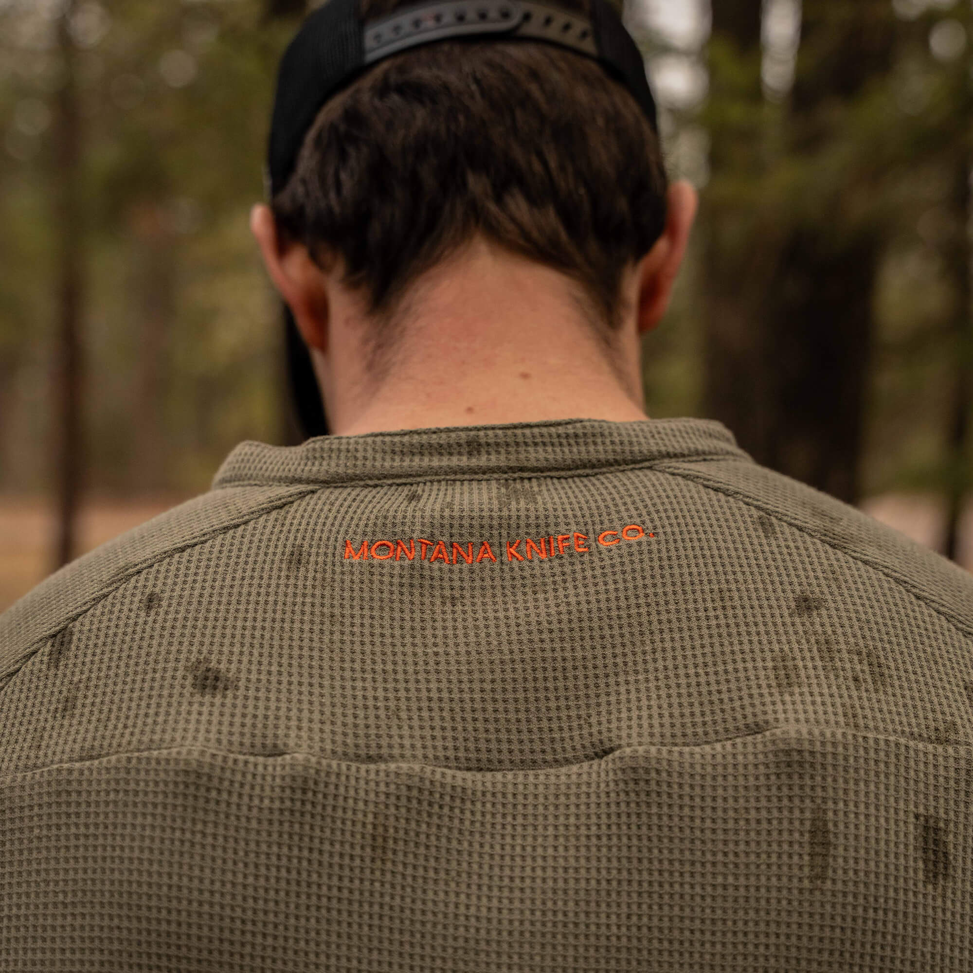 MACLAY HENLEY - OLIVE