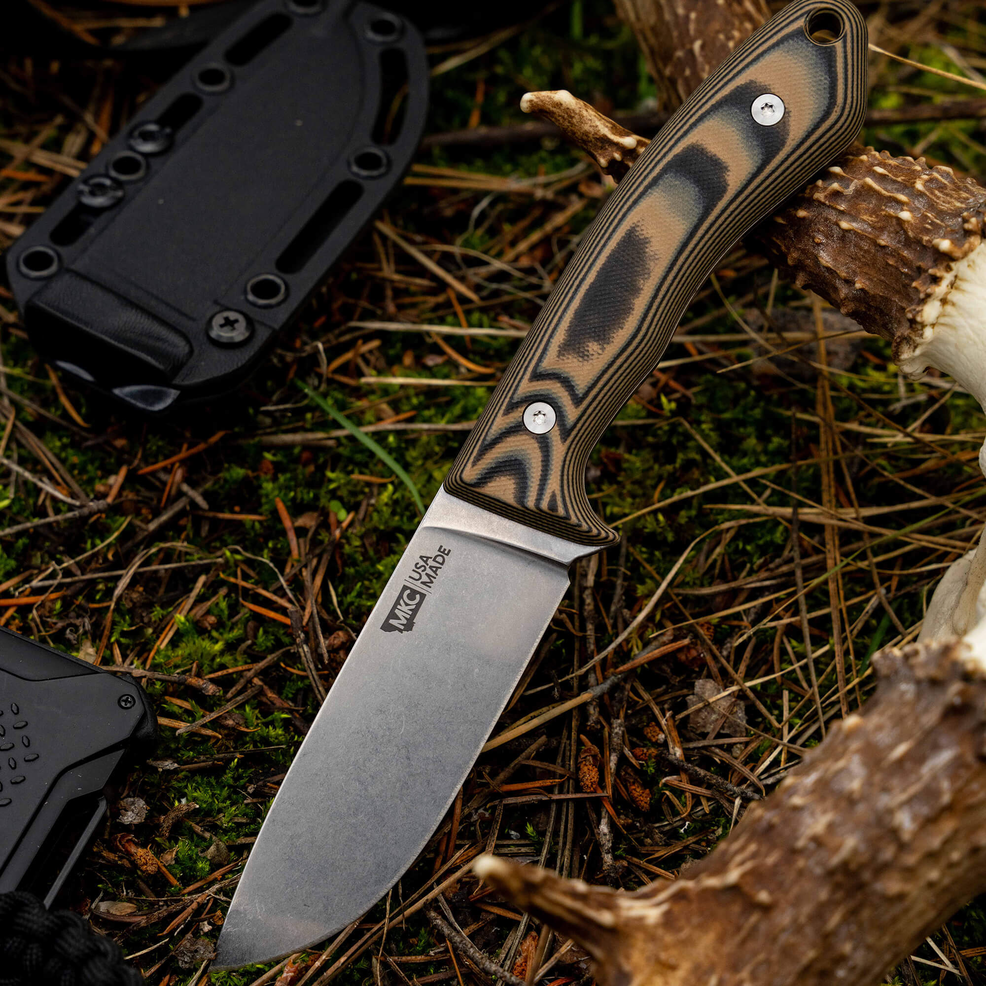 MULE DEER - TAN & BLACK