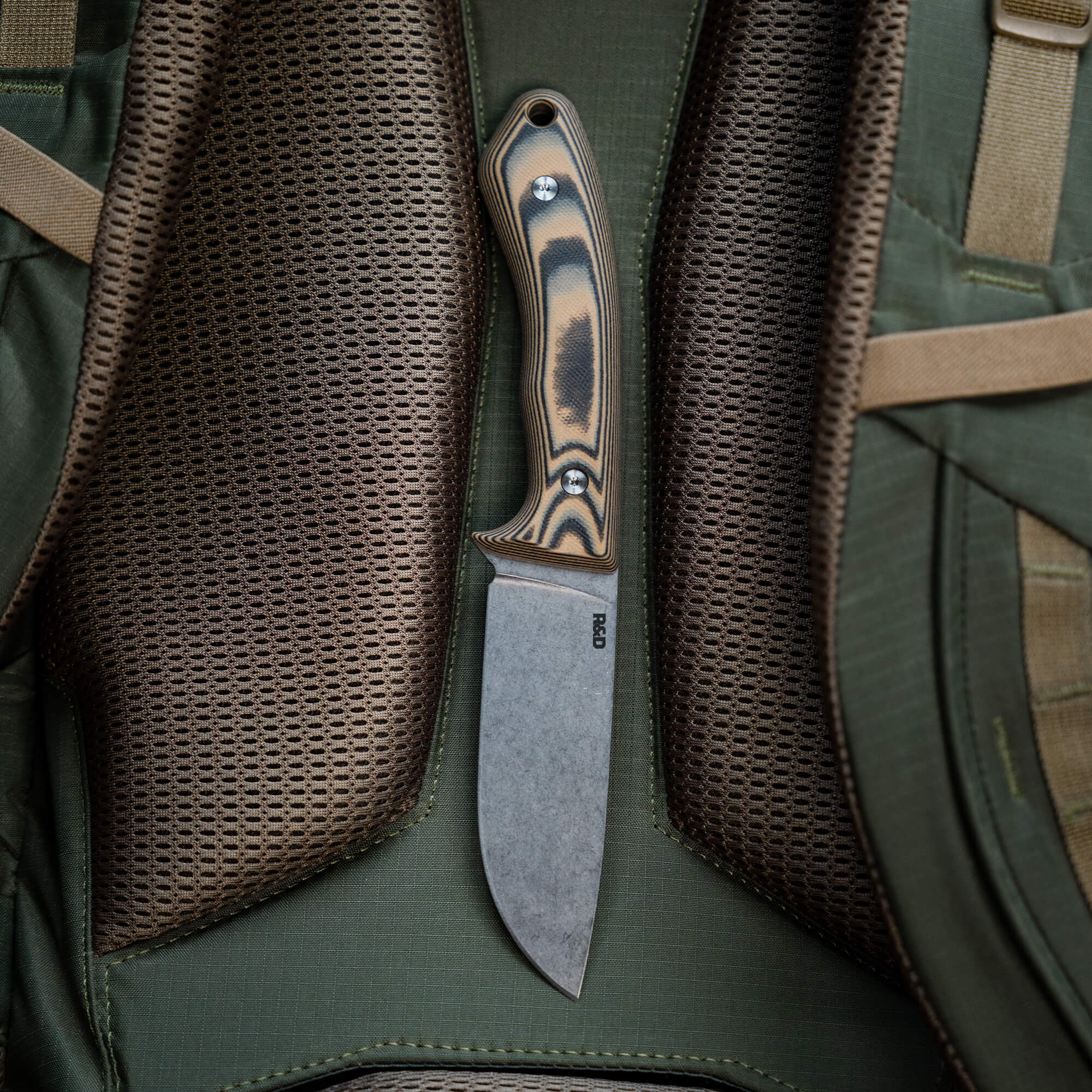 MULE DEER - TAN & BLACK