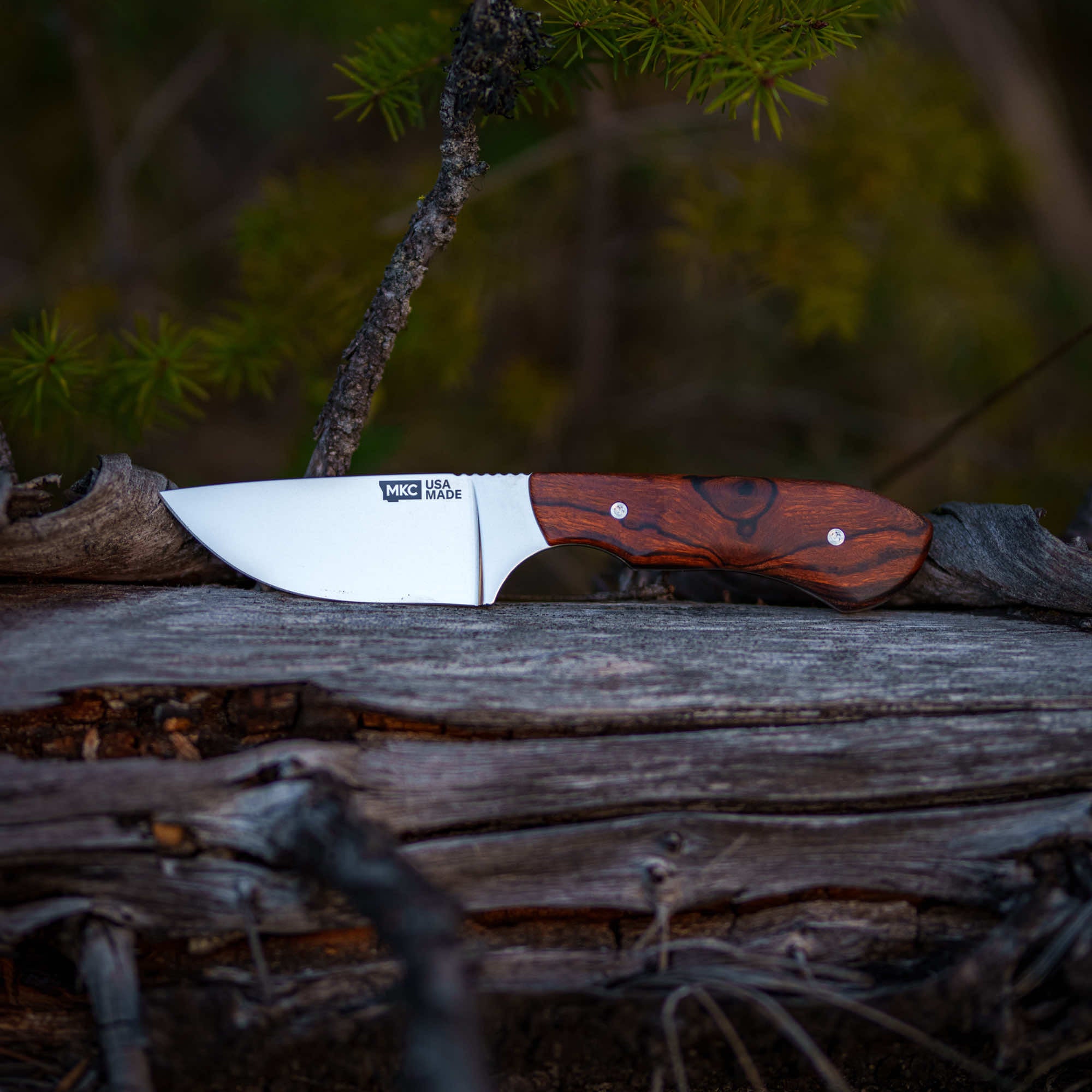 Montana Knife Company's LIVE WILD Traditions Elk Knife features a sleek blade and a beautifully crafted wooden handle, perfect for outdoor enthusiasts.
