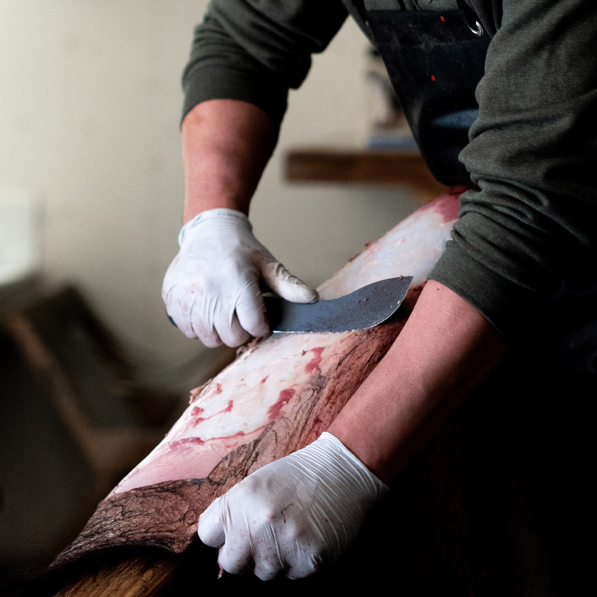 Person using a Beartooth Pro Skinning Blade in black to skillfully skin an animal, wearing white gloves, focusing on the task at hand in a work environment.