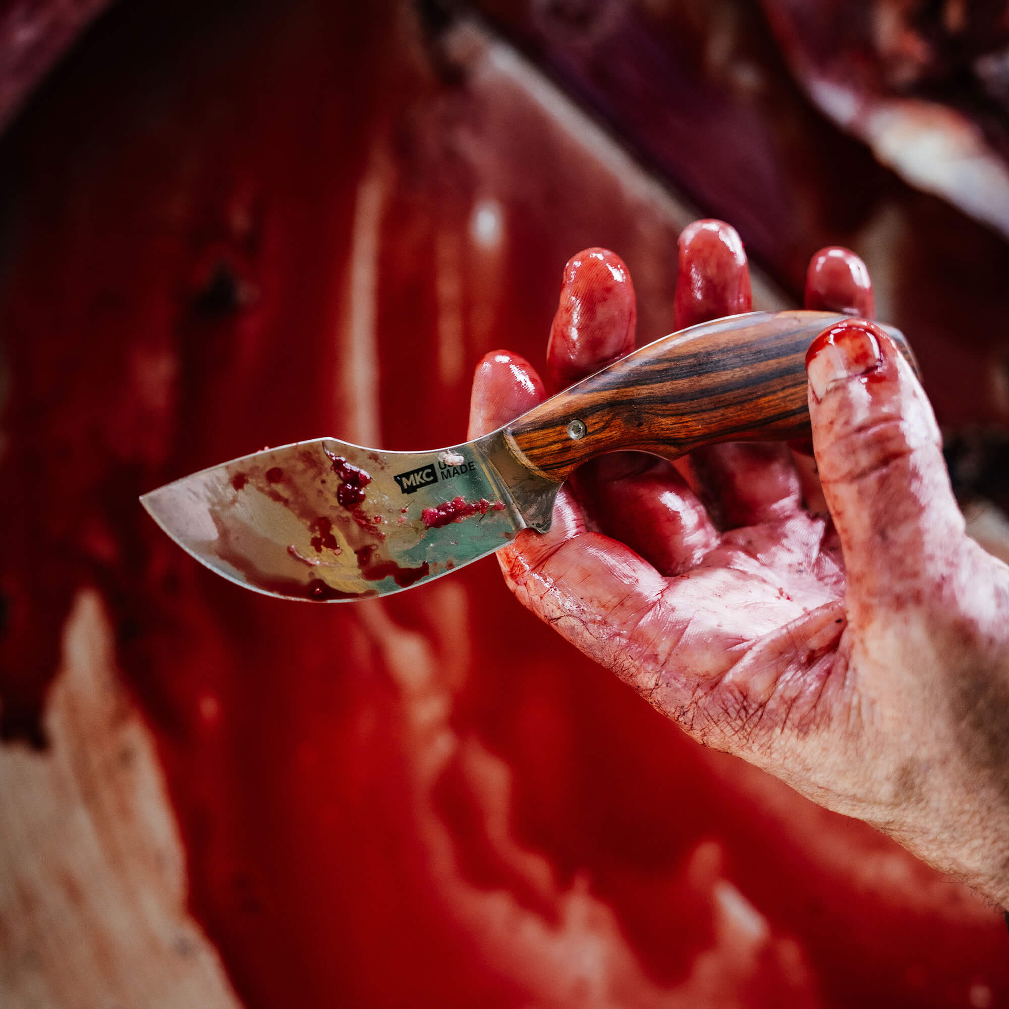 A blood-stained hand holds the KEEP HAMMERING Traditions Packout Skinner knife, showcasing its curved blade and wooden handle.