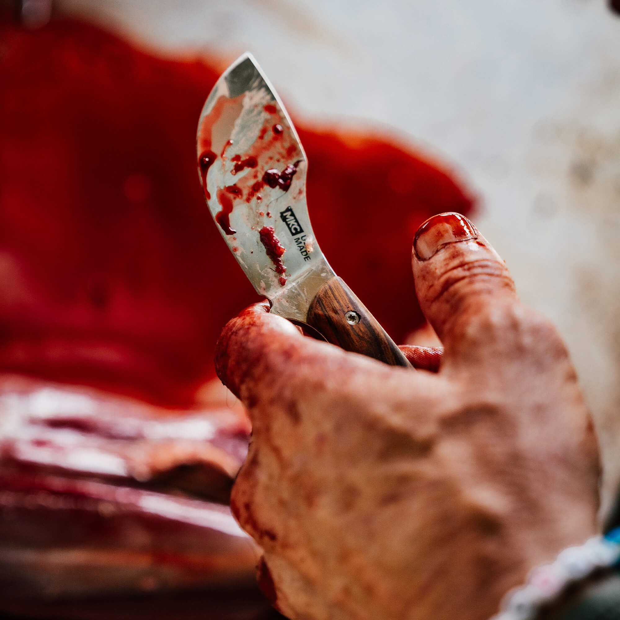 A blood-stained hand holds the KEEP HAMMERING Traditions Packout Skinner knife, showcasing its sharp blade and wooden handle.