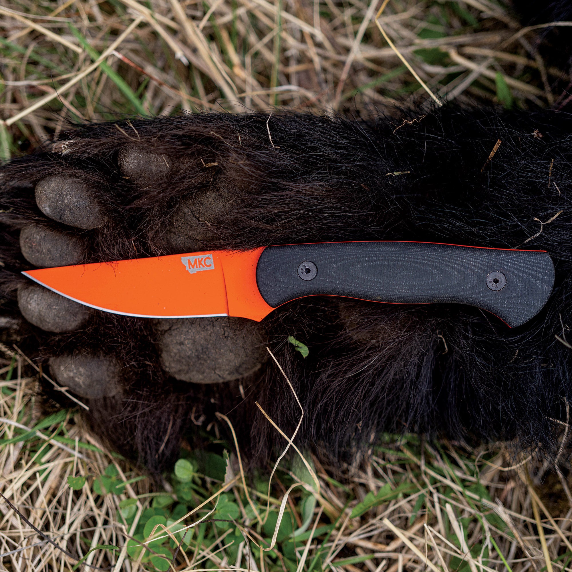 Alt text: "A BLACKFOOT 2.0 fixed blade knife featuring a blaze orange Cerakote™ blade with a black handle, displayed on a black bear paw in a natural outdoor setting, highlighting the knife's visibility and rugged design."