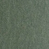 SAGE color swatch